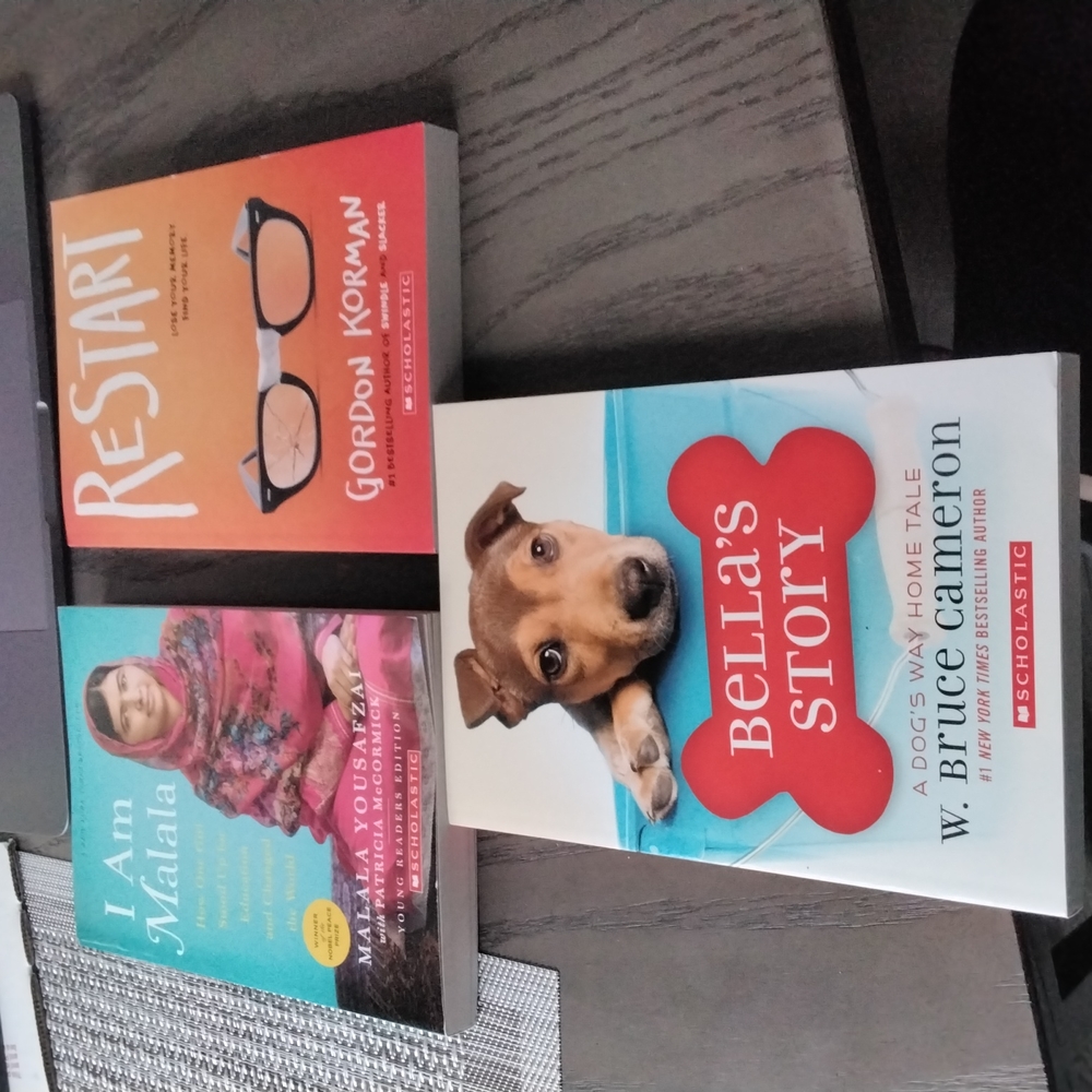 Chapter books
